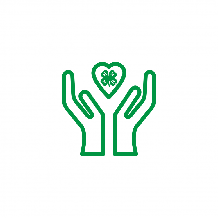 Icon for the 4-H Get Involved and Volunteer section