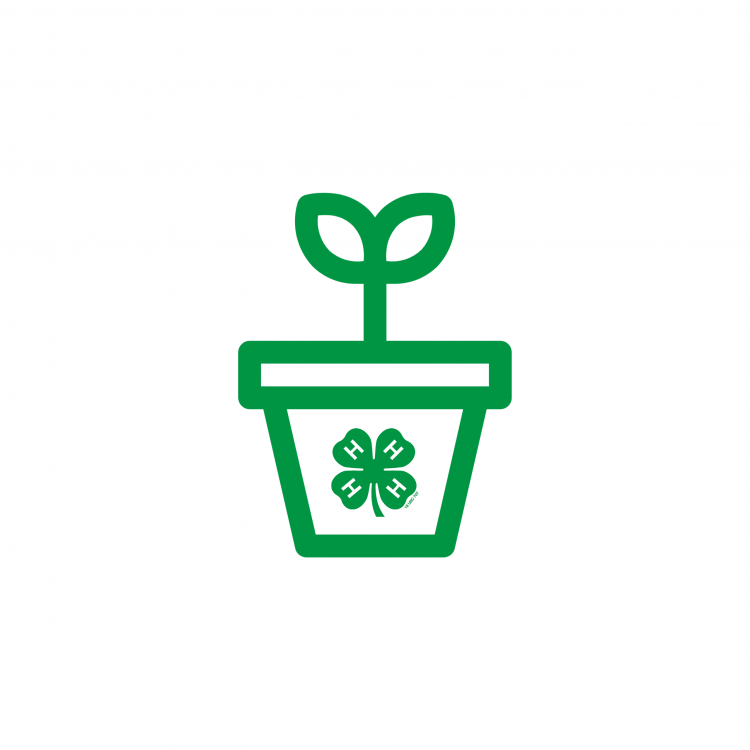  Potted plant with clover logo icon