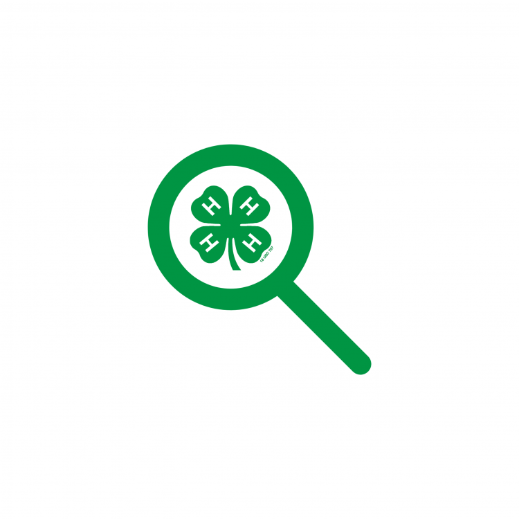  Magnifying glass icon over a four-leaf clover